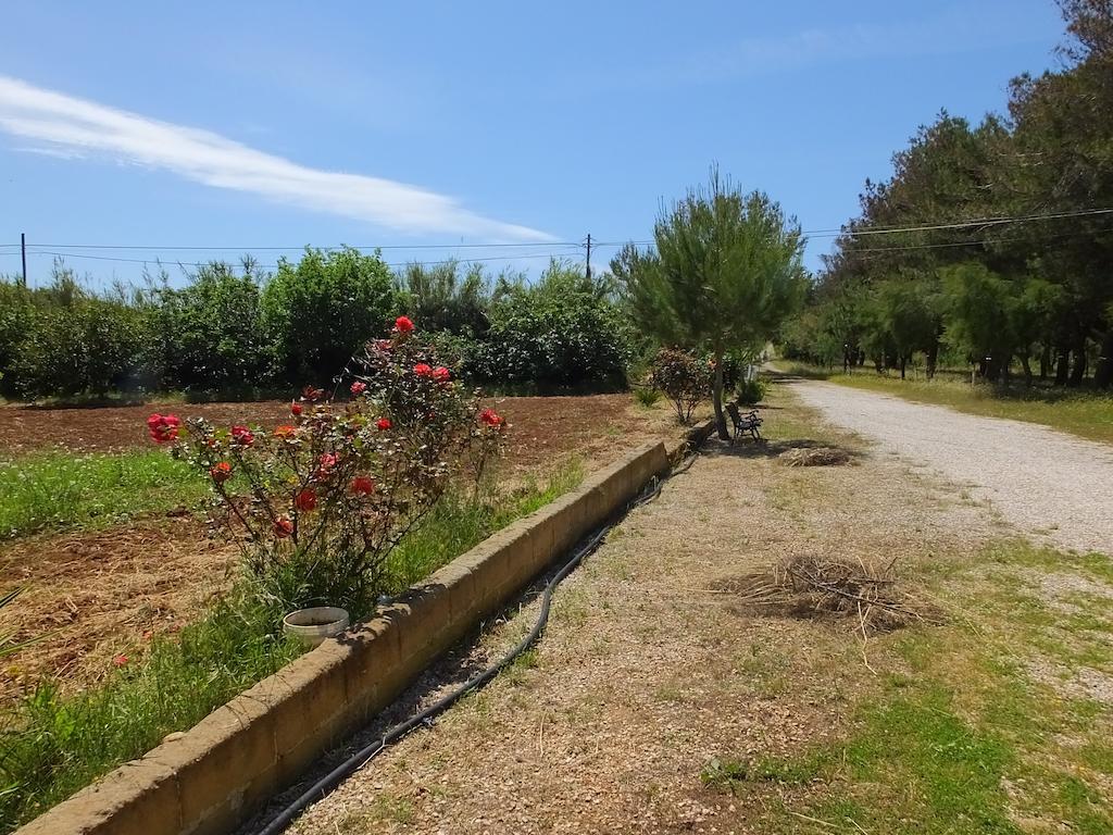 Villa Boschetto B&B - Apartments Maruggio Bagian luar foto
